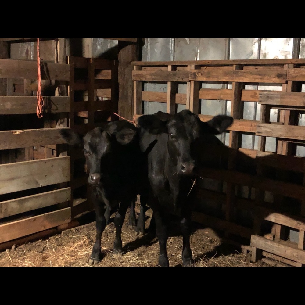 Meet your Posher, Kaitlyn